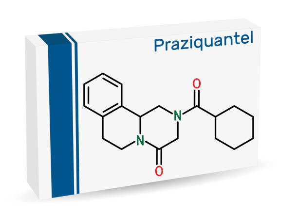 Praziquantel Treat Infections Caused by Tapeworms and Liver Flukes | Medication Fewer Than 3 times | Single Dose | Other Medications |