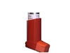 Fluticasone and Salmeterol Inhaler